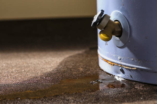 Best Water damage restoration near me  in Kualapuu, HI
