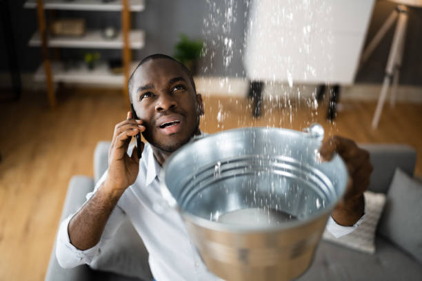 Best Commercial water damage restoration  in Kualapuu, HI
