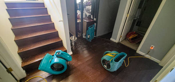 Reliable Kualapuu, HI Water damage restoration Solutions