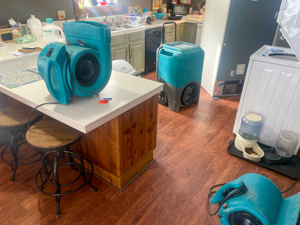 Best Local water damage restoration  in Kualapuu, HI