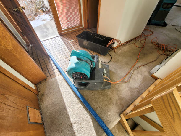 Reliable Kualapuu, HI Water damage restoration Solutions