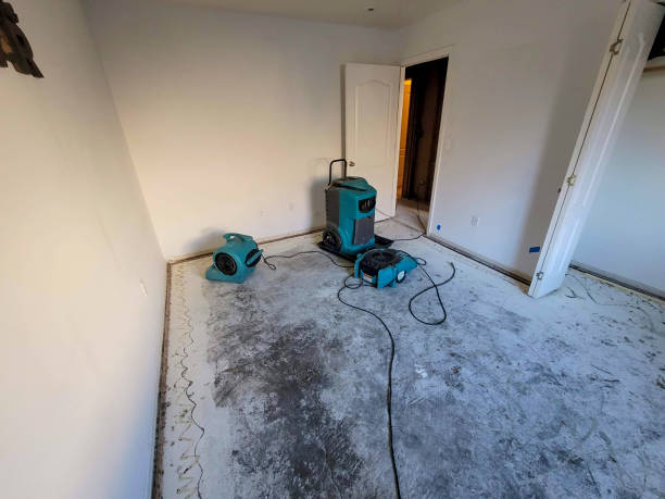 Water damage restoration mold remediation in Kualapuu, HI