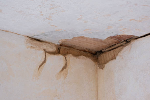 Best 24/7 water damage repair  in Kualapuu, HI