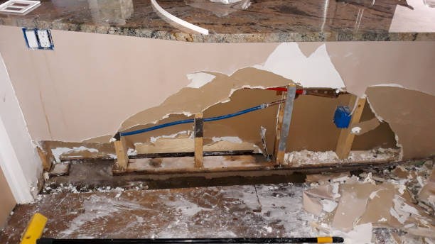Best Carpet water damage restoration  in Kualapuu, HI