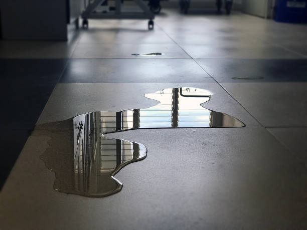 Best 24/7 water damage repair  in Kualapuu, HI