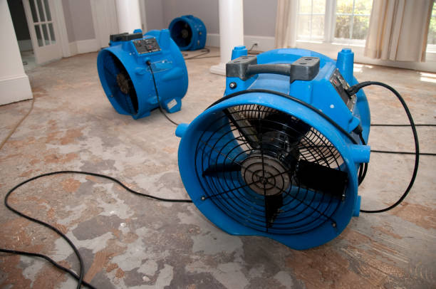 Best 24-hour water damage restoration  in Kualapuu, HI