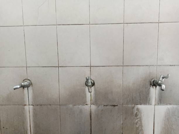Best Water damage contractors near me  in Kualapuu, HI