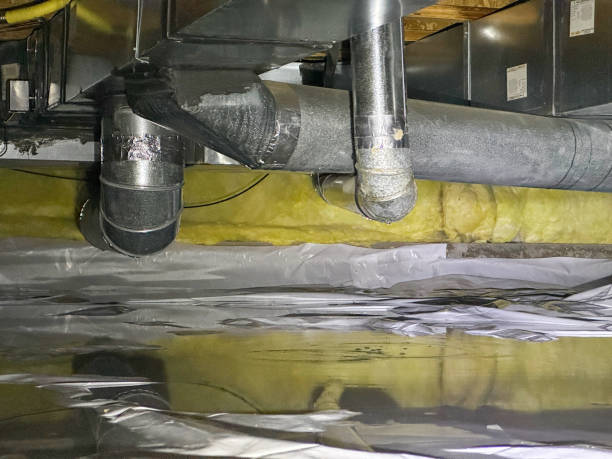 Best Carpet water damage restoration  in Kualapuu, HI