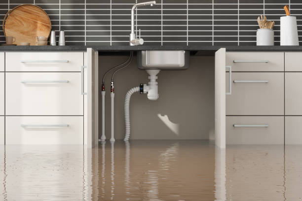  Kualapuu, HI Water damage restoration Pros