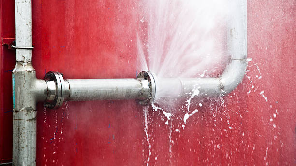 Best Water damage cleanup near me  in Kualapuu, HI